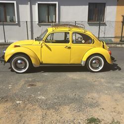 1974 model the beetle